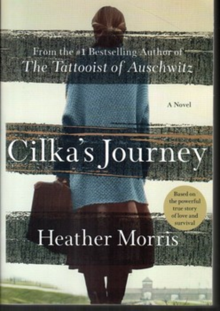تصویر  سفر سیکا cikas journey (رقعی-شمیز)